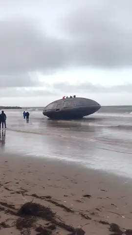 UFO washed up in Russian beach, the truth is out there.. #ufo #ufos #flyingsaucer #flyingsaucers #crashedufo #weird  