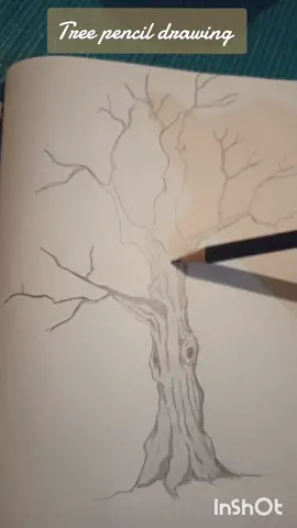 First bite of art : Tree pencil drawing 🌳🌿. let your friends have a bite too ! #art #tree #pencildrawing #drawing #artist #artlove #drawingtutorial 