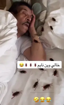 #اكسبلور #فهدالعرادي #بوطلال_المزيون😂 #بوخليفة #علاء #fyp #viral 