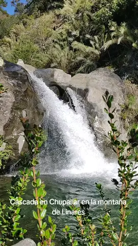 Una, de varias caídas de agua, que se pueden descubrir al interior del Cajón Ancoa de Linares. Cuida la naturaleza y no arrojes basura.