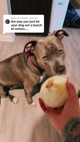 Replying to @mieshel  charlie was etremly worried you wouldnt sleep well tonight knowing her piece of shit mom feeds her onions for dinner. So she insisted we make you video ♥️♥️♥️ 