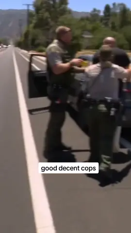 #cops #copsoftiktok #police #usa #viral 