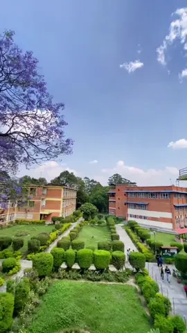 Pulchowk campus❤️ #pulchowkcampus #pulchowkcampus_engineeringlife #ioe#fyp #repost 