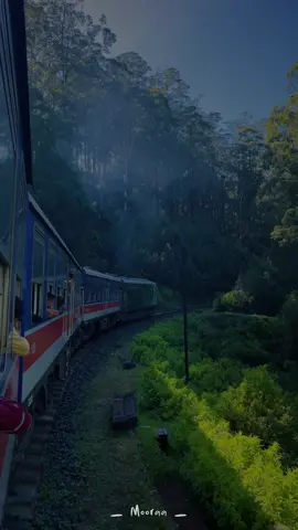 පිට රටක නෙවේ, මේ ලංකාවේ..🇱🇰 It's Sri Lanka🇱🇰 #guesstheplace #guess #srilanka #srilankatiktok #hiddengems #travel #scenery #beauty #traveltiktok #relax #srilankan_tik_tok🇱🇰 #ella #ellasrilanka #train #traintravel #trainjourney #beautifuldestinations  #bucketlist #travellife #unveiling #trending #trendingvideo #viral 