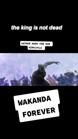 Marvel Studios' Black Panther (2018) - 