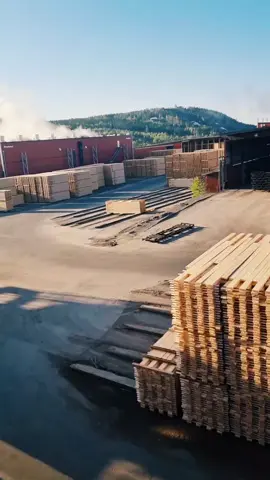#industry #sawmilllife #forestindustry #sawmill #sågverk #fyp #Summer 