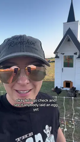 Let’s check on the chickens after their first night in the chicken church! #ChickenChurch #CrazyChickenLady #Chicks #Chickens #DryHumor #Sarcasm #MarriageHumor #Marriage #CoupleTok #RanchTok #AgTok #KeepRanchin #KingOfTikTok #RanchLife #Ranch 