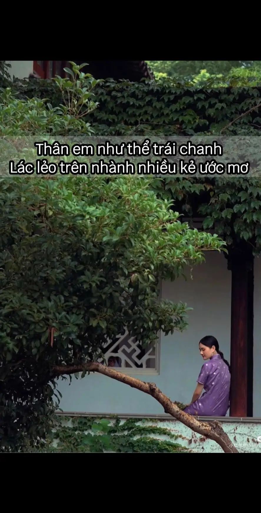 …  #cadao #cadaotucnguvietnam #cadaotucngu #thocaviet #xuhuong #foryou 