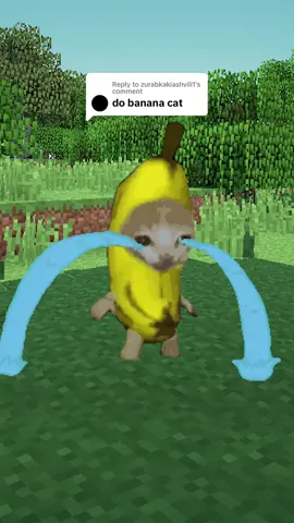 Replying to @zurabkakiashvili1  Sad Banana Cat filter created 😭🍌🐱 #bananacat #effecthouse #filter #meme #ar 