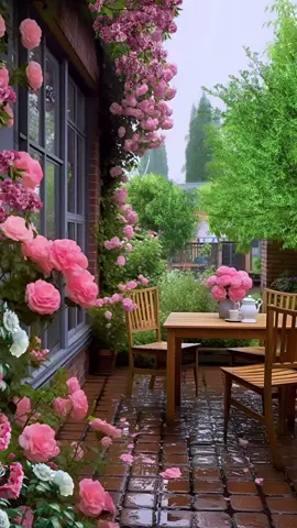 ✨☔️🌹✨ #fyp #beautiful #scenery #magical #nature #rainydays #foryou 