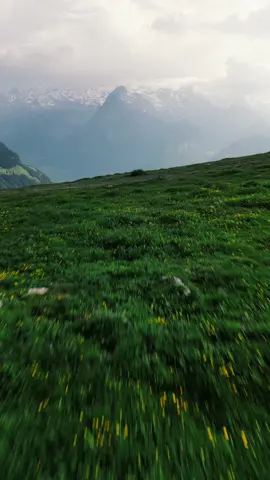 Take a flight with me over the beautiful village of Stoos in Switzerland. From high above, you can see the beautiful blue Vierwaldstättersee lake and the towering mountains all around it. This drone journey lets us see Switzerland from a new perspective, revealing the true beauty of this place. So, come along with me and let's explore the stunning sights that Switzerland has to offer from the sky. #switzerland🇨🇭 #stoos #hikingadventures #droneshot #mountainslife 