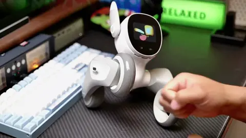 Loona intelligent robot dog #share #techtok #Tech #unboxing #giftideas #gift #cool #robot #robotdog #loona #useful #asmrvideo #viral #fyp #nice #CapCut 