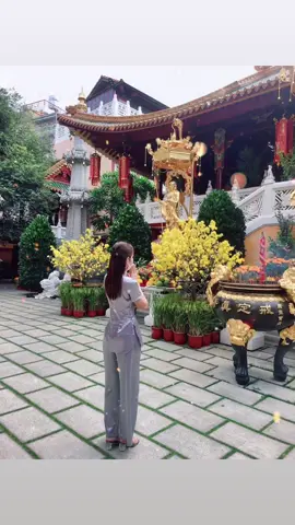 Xin tâm con bình thản trước nghịch cảnh cuộc đời 🍀  #yêuthương #cuộcsống #xuhuongtiktok #tamtrang #tinhthuc #phatgiao #thichtamduc 