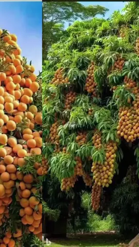 الفكر يا إنسان لو أطلقته متأملا في قدرة الرحمن لخضعت إجلالا وتسبيحا له سبحانه رب عظيم الشان # 