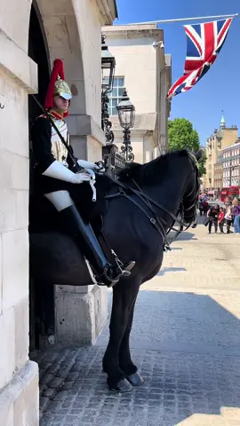 Royal king's guard and horse Enjoying the beautiful day at horse guard parade! #royalguards #horseguardparade #kingsguards #foryoupage #fyp #fypシ゚viral #royalfamily #horsesoftiktok #london #unbilivable #stunning 