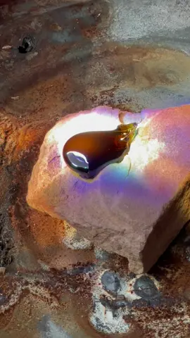 Giant lens melts glass #physics #experiment #glass #science #forge #solar 