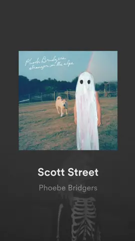 Scott Street - Phoebe Bridgers #ScottStreet #PhoebeBridgers #LirikLagu #Lyrics #Songilysm #Spotify 