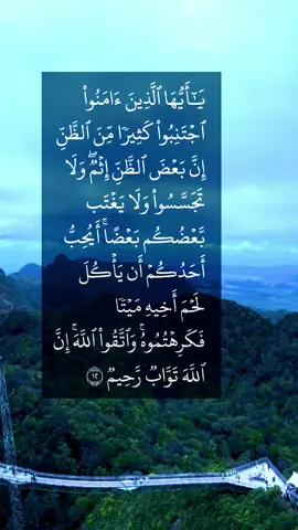 Surah Hujrat #quran #alquran #allah #fyp #قران #القران #قران_كريم #ارح_سمعك_بالقران_الكريم_أجر_لي_ولكم 