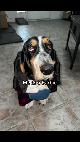 Barbie what happened here?? 😂😂🐾#CapCut 