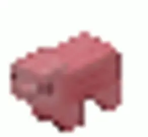 spinning pig
