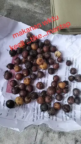 makanan jadul wktu kecil...hyuu siapa yg pernah ngrsain makanan  ini # tike mknn jadul ,,