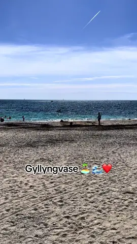 Gylly 🏝️❤️#amazingcornwall 