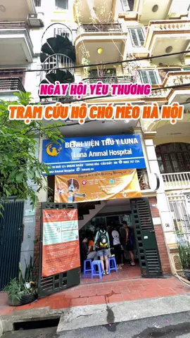 Đưa 2 bé mèo tham gia Ngày hội yêu thương của Trạm cứu hộ chó mèo Hà Nội #meo #cat #limmeo #pet #tramcuuhochomeo #LearnOnTikTok #xuhuong 