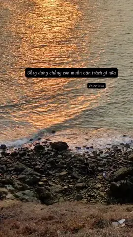 Tự tình số 168: Hẳn vất vả lắm #fyp #fypシ #nhatkicuamua #foryou #sad #pain #rain 