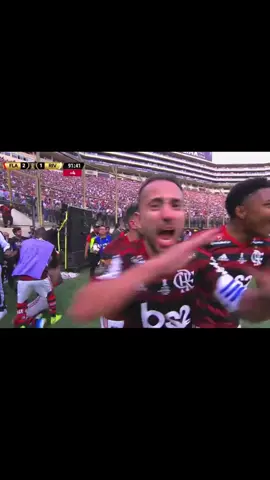 ⚽️ Gabriel Barbosa 🗓️ Flamengo 2x1 River Plate - 2019 #futebol #flamengo #riverplate #gabigol #mengao #gol #libertadores #final