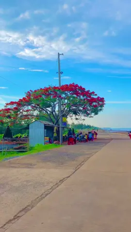 Về đây tình nồng dựng xây trọn đời bên em    🥰   #TiềnGiang #63B7 #Gocong #chill #tanthanh #bien #xuhuong #viral 