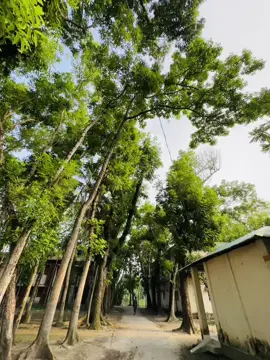 https://vm.tiktok.com/ZGJxo#Top#virl#///greek#bd#alhamdulillah❤️ #iphone14promax #top #viral #মাদারীপুরের_মেয়ে_আমি👰 
