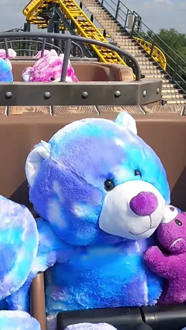 Yep, that’s me. You’re probably wondering how I ended up in this situation… Flying Viking. #rollercoastersoftiktok #rollercoaster   #T#TeddyBearsA#Adventurelanda#adventurelandiowaf#funfilleddayi#iowai#iowacheckc#cute