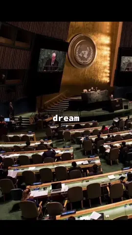 diplomacy. #Lifestyle #diplomacy #amalclooney #succesful #aesthetic #internationalrelations #lawyer #fyp #foryou 