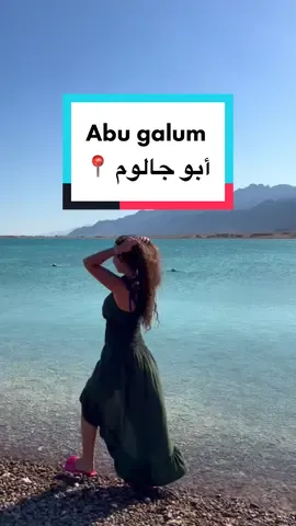 تعرفوا ان فيه نبات يتحط ع الجرح يطيب 👌🏻😉 فقط في #مصر #ابوجالوم ##abugalum #asmaraouf 