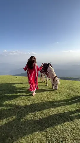 Place❤️🔥#baghazadkashmir🥀❤️ #foryoupage #viralvideo #naturalbeauty #sardarni🔥 #kashmirgroup 