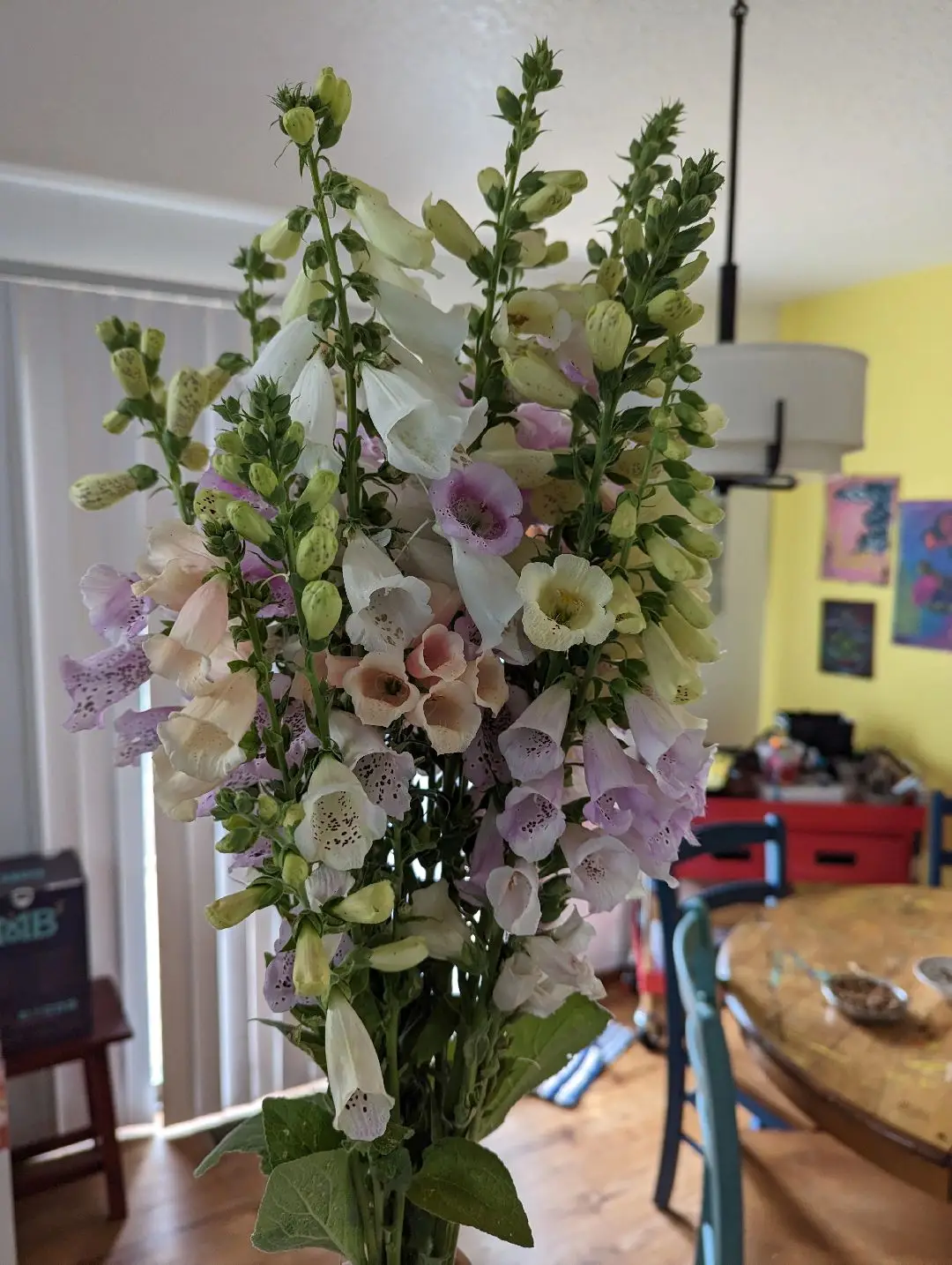 Foxglove and feverfew. They just keep on coming! I think as a newer flower farmer I worry if there will be enough for my orders, but then when I run down to harvest there are, in reality, far more than I need. I guess the calm and confidence will come with time and experience. Happy blooming everyone! #cutflowergrower #flowerfarmersoftiktok #flowerfarmer 