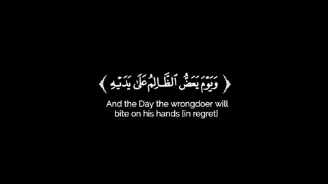 ويوم يعض الظالم على يديه: ١ #خالد_الجليل#قران_كريم #fypシ #thequran 
