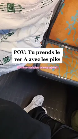 Ils sont partout les pickpockets #pickpocket #voleur #rer #viral 