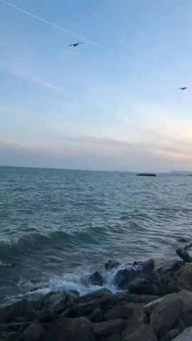 Xəzərin sahilində sərt dalğalar… #deniz #chayka #dalga #sahil 