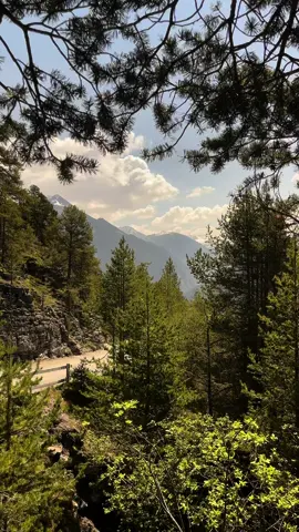 “Find your way back to slow and simple.” ☀️ #naturevideography #swissalps #switzerlandtravel #switzerlandviews #naturevibes #hikingtiktokadventures #mountains #wildflowerscene #swiss_views #switzerland #peacefulnature 