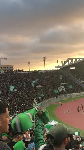 Unico amore 💚💚✌🏻 #explore #viralvideo #funny #الرجاء_العالمي #شعب_الخضراء #rca💚 #morroco🇲🇦 #viral # 