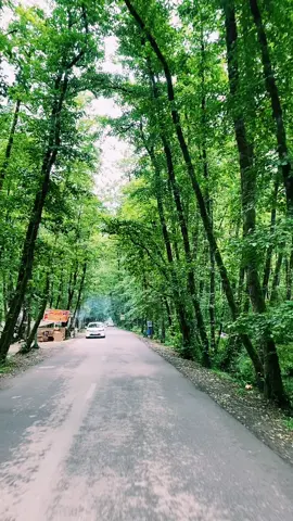 #iran🇮🇷 #iranian #astaram♥️ #ramsar #شيمال_ايران #kurdistan #bander #enzali #لاهيجان #بندرانزلي 