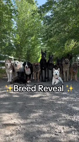 Did you guess them all correctly? 