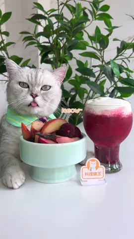 Have you tried the specialty desserts from Changsha, China? Unique taste, especially suitable for summer #kittygod_cn #catlover #tastetest 