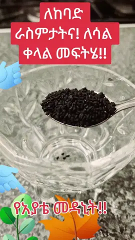 #habeshatiktok #ሐበሻtiktok #ethiopian_tik_tok 