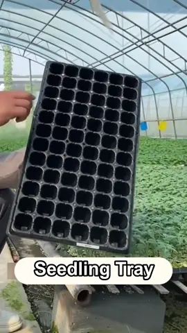 Seedling tray purpose!Find out now!#seedlings #seedlingtray #farming #farm #seeds #sowing #greenhouse #foryoupage