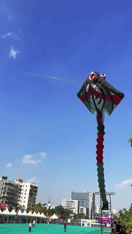 #kiteflyingfestival #uttarayana #ahmedabad #gujarat #india #travel #festival #kites 
