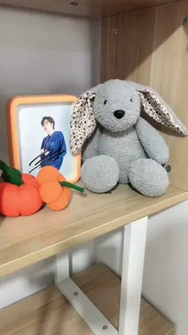 Bunny rabbit made of socks

#handcraft #handmade #DIY #fyp #foryou #tiktok #viral #craft