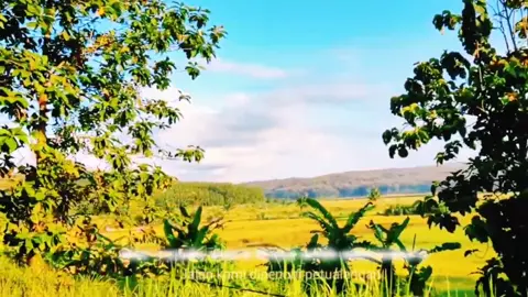 Monody🎶 #pyf #fyp #xyzbca #monody #monodyfatrat #vibes #fatrat #cinematic #nature 