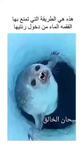 قل سبحان الله